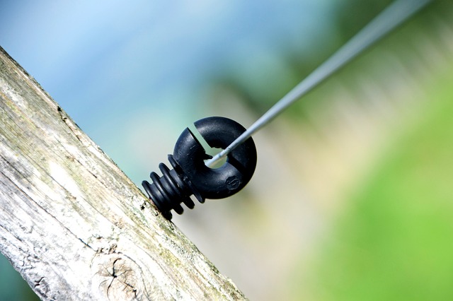 Ile Polaków mieszka we Francji? Ile Polaków mieszka we Francji?