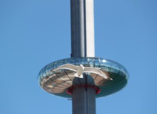 Co lubią Brytyjczycy?