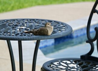 Czy można pływać w basenie w butach?
