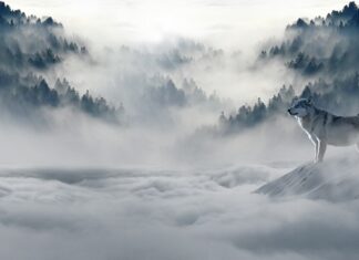 Jak przetrwać zimą w górach? Jak przetrwać zimą w górach?