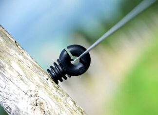 Czy ruskie lubią Polaków?