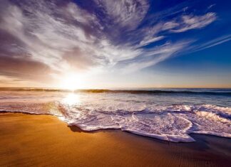 Gdzie kupić piankę do pływania?