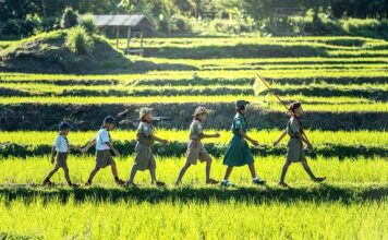 Jak wygląda tartan?