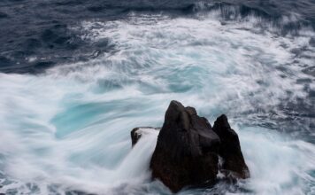 Jaka jest cena 1 euro?