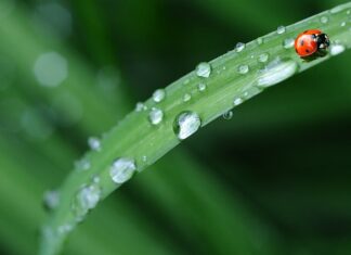 Jak zostawić po sobie pościel w hotelu? Jak zostawić po sobie pościel w hotelu?