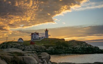 Jakie jest narodowe zwierzę Anglii?