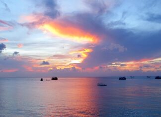 Gdzie nurkować na Koh Tao?