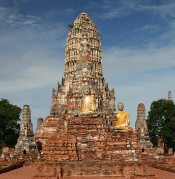 Czy w Tajlandii są jadowite pająki? Czy w Tajlandii są jadowite pająki?