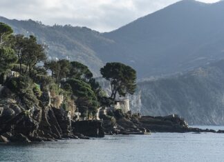 Ile kosztuje wyrobienie wizy?