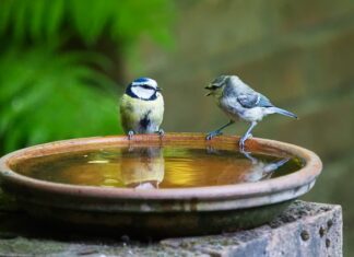 Jak się mówi w Wielkiej Brytanii?