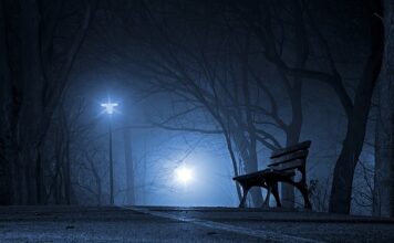 Czy Polska jest większa od Belgii? Czy Polska jest większa od Belgii?