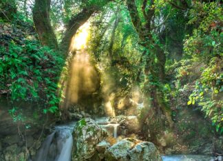 Kiedy zaczyna się pora deszczowa w Tajlandii?