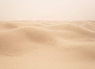 Na co trzeba uważać w Tunezji?