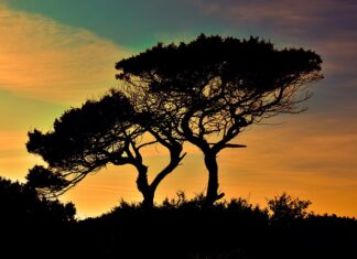 Jak długo leci się na Cypr?