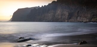 wiosenne przebudzenie nad morzem