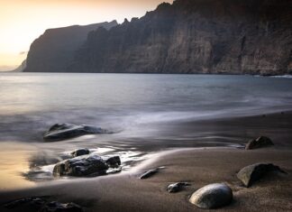 wiosenne przebudzenie nad morzem